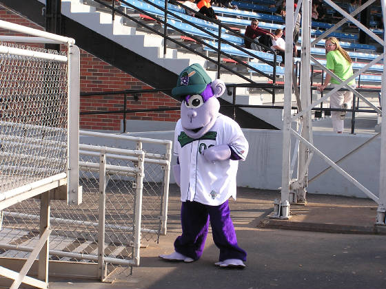 Bubba the Jammers mascot